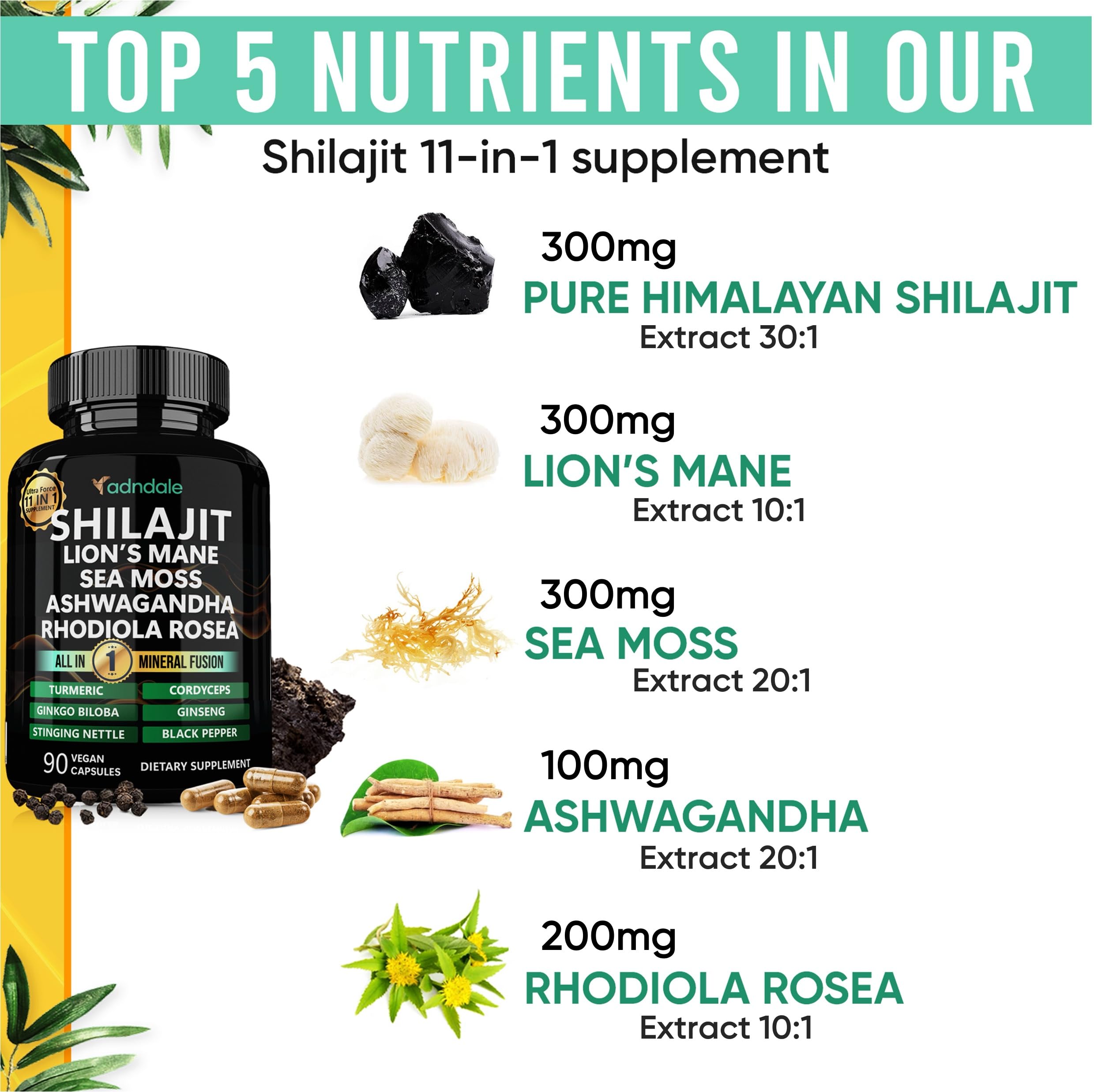 Adndale Shilajit Capsules side view showing ingredients