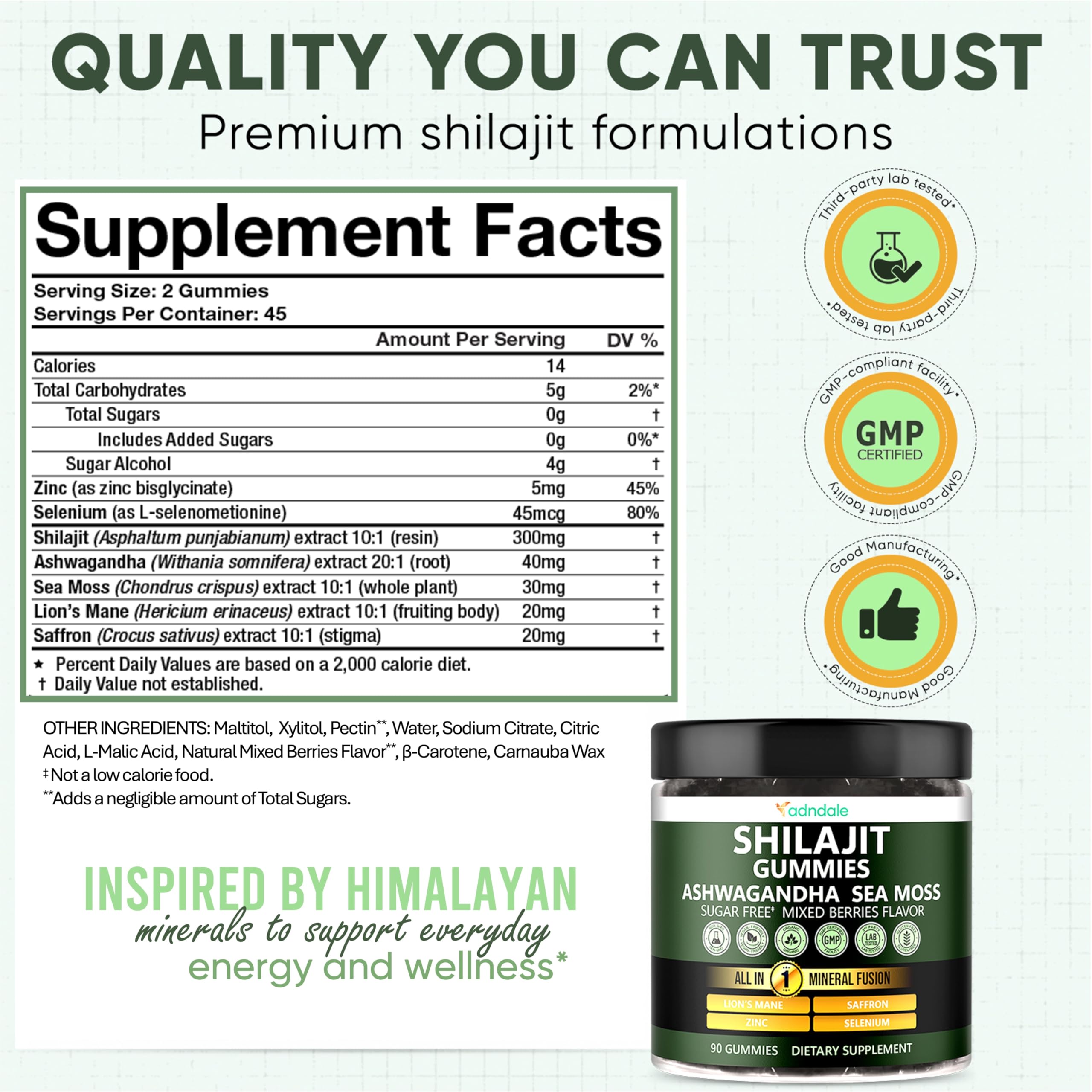 Adndale Shilajit Gummies back view with nutritional information