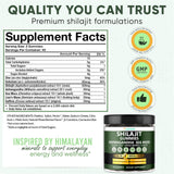 Adndale Shilajit Gummies back view with nutritional information