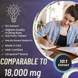 Advanced Bionetix Lion's Mane Mushroom Supplement capsules close-up