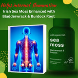 Advanced Bionetix Sea Moss Capsules packaging on a white background