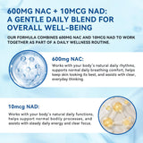 Aeteon NAC 600 & NAD Daily Complex Softgels with coconut oil and MCT oil