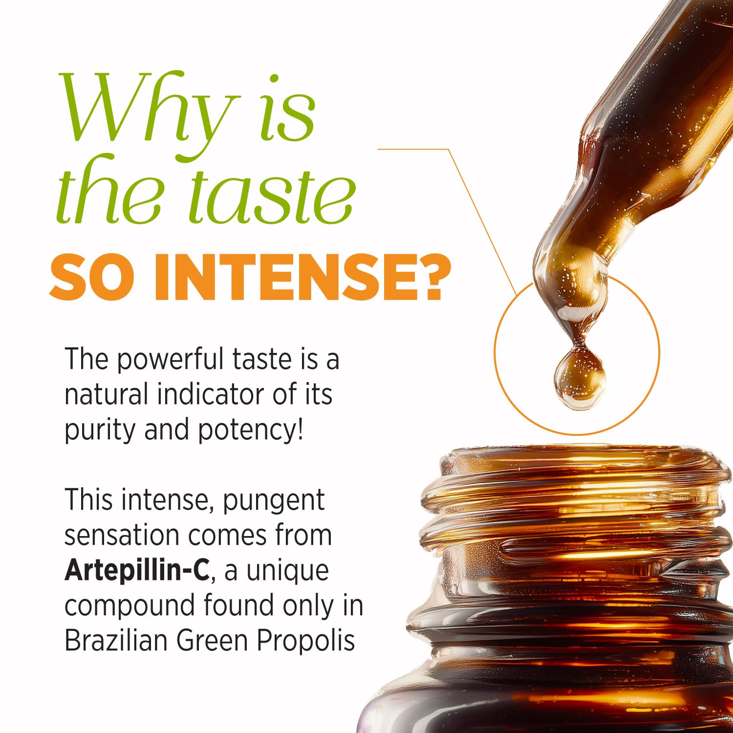 AFC Propolis Liquid Extract 30ml with fresh herbs