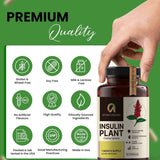 Afiyah Organic Costus Igneus Capsules in a lifestyle setting