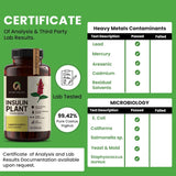 Afiyah Organic Costus Igneus Capsules with health maintenance package
