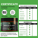Afiyah Organic Costus Igneus Plant Powder 240g scoop in a smoothie