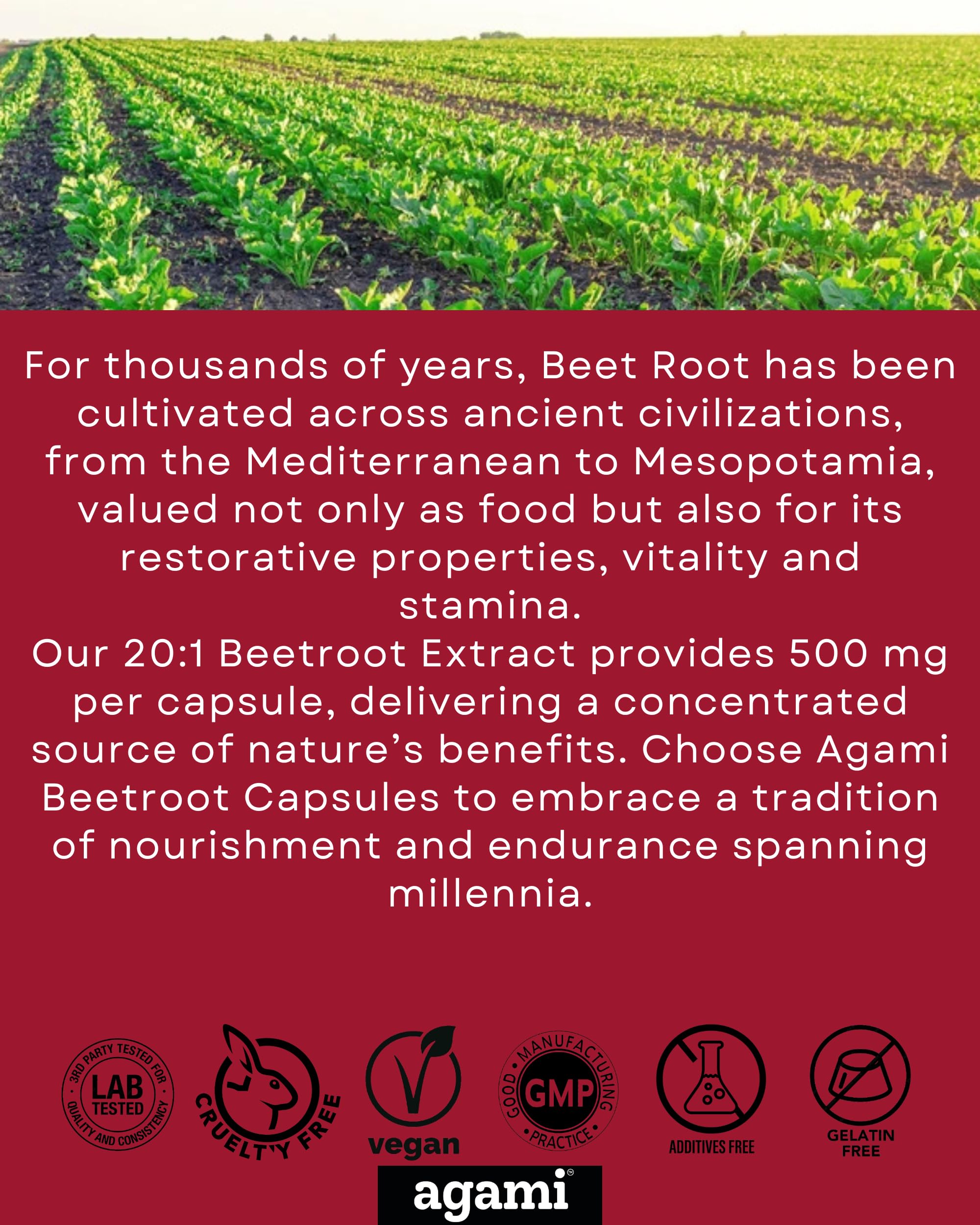 Agami Beetroot Extract Capsules ingredients list