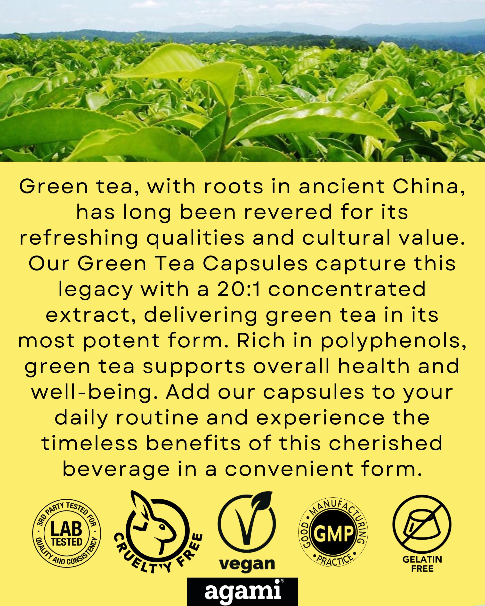 Agami Green Tea Capsules in a lifestyle setting