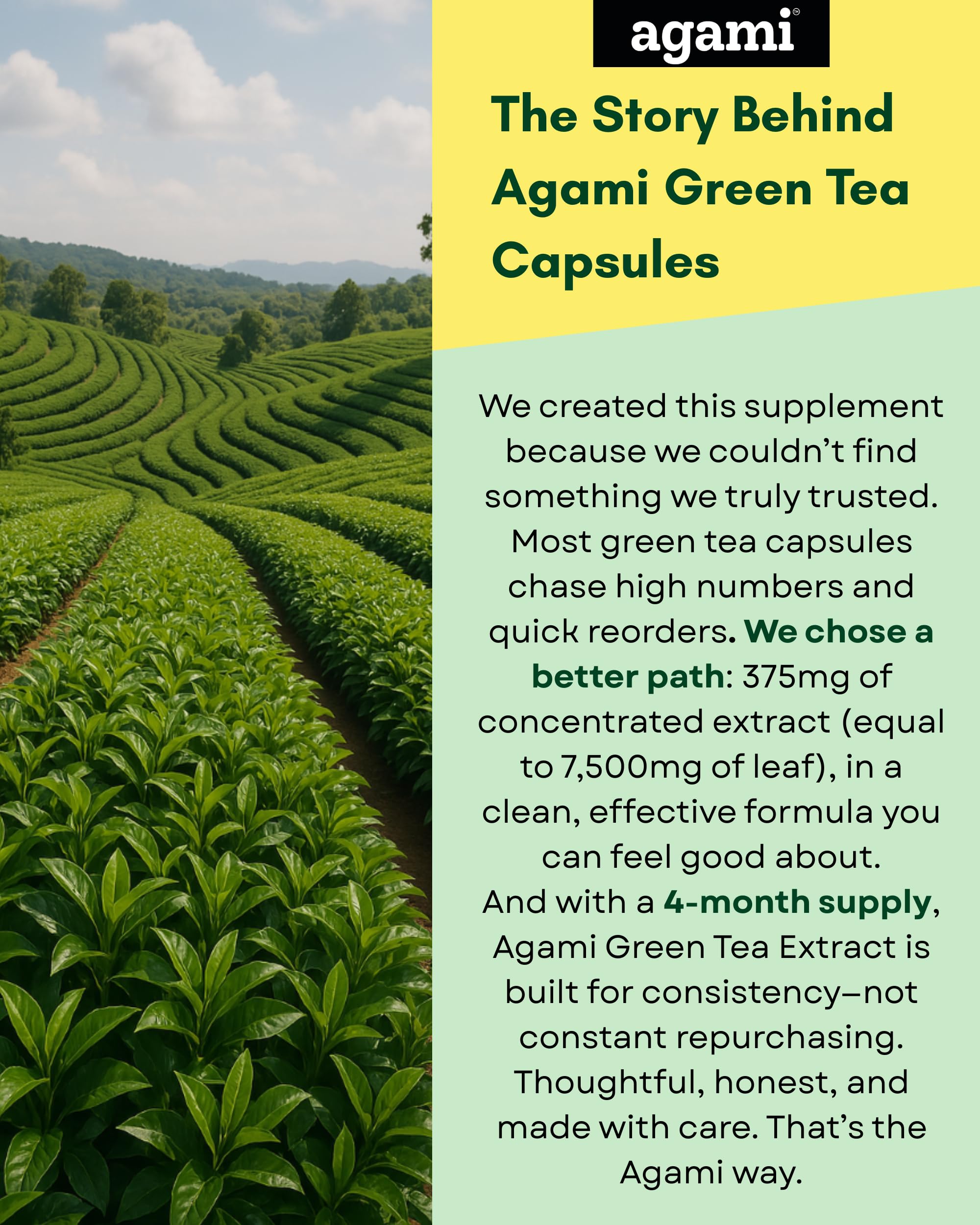 Agami Green Tea Capsules on a wooden table