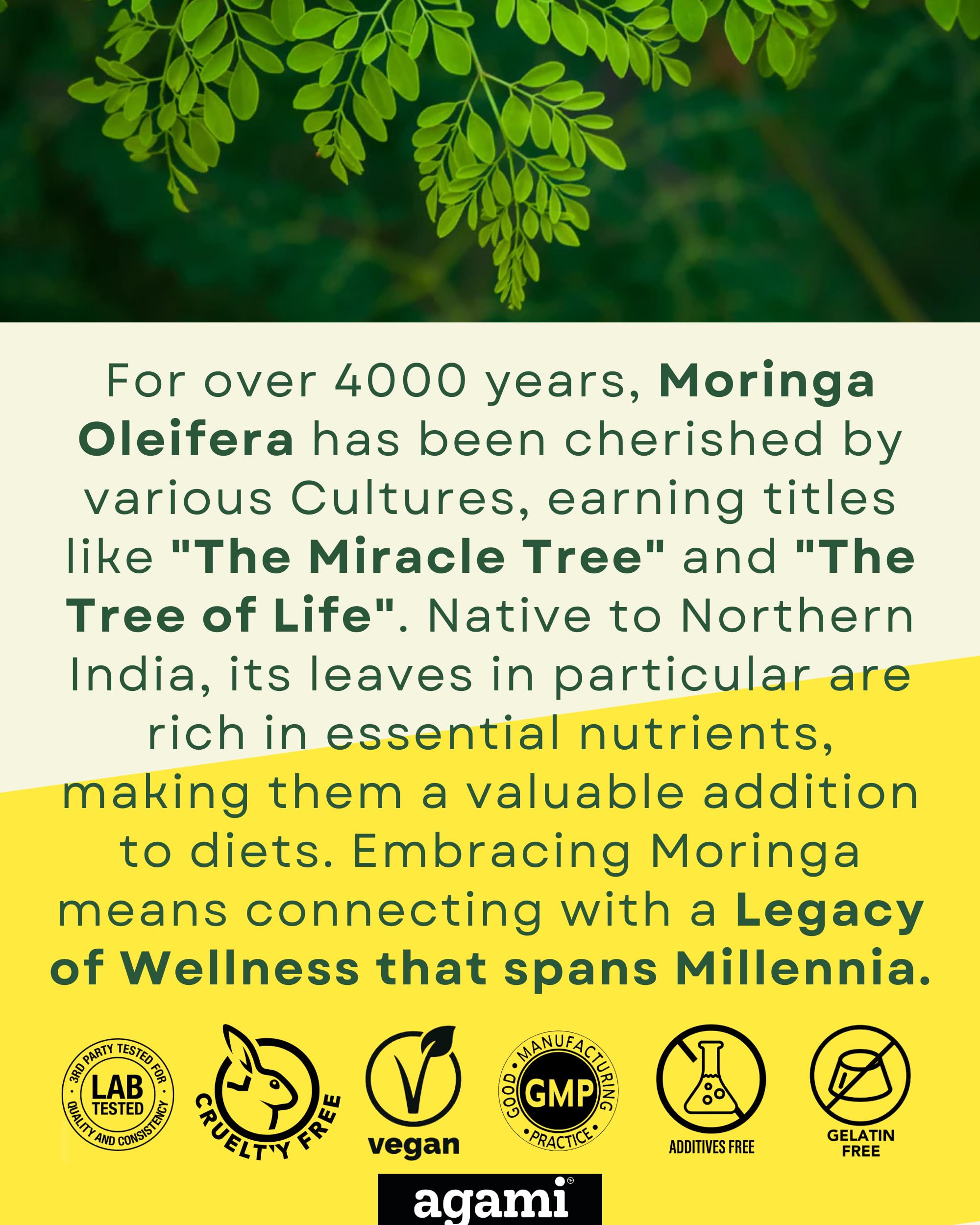 Agami Moringa Extract Capsules 400mg packaging details