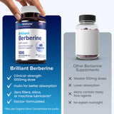 AgeImmune Berberine Supplement 1000mg capsules on a table