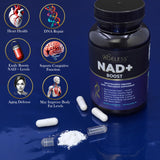 Ageless Foundation Laboratories NAD+ support Supplement bottle side view