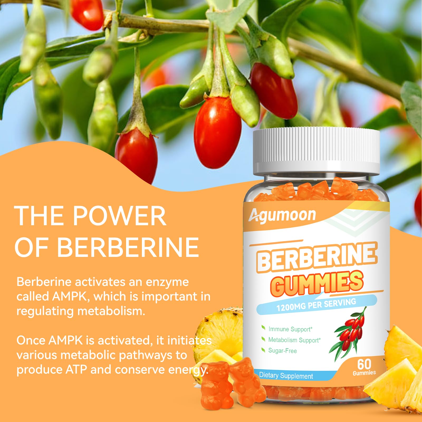 Agumoon Berberine Gummies with Ceylon Cinnamon close-up