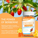 Agumoon Berberine Gummies with Ceylon Cinnamon close-up