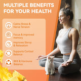 Agumoon Cortisol Gummies with ingredients displayed