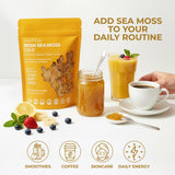Ahai Life Gold Sea Moss packaging with St. Lucia ocean background