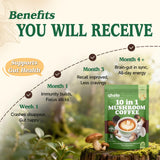 Ahete Mushroom Coffee Blend preparation with hot water