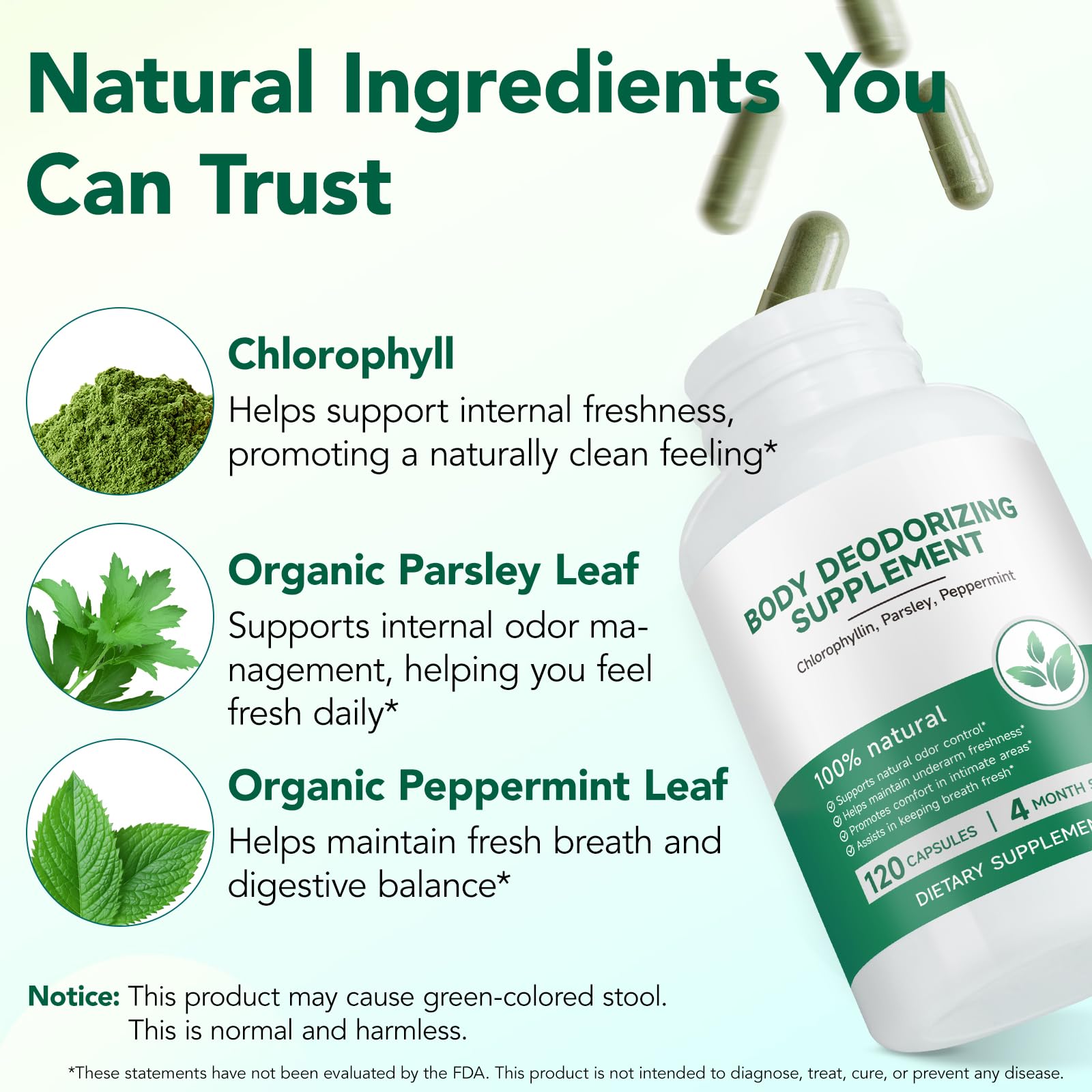 AIQIUSHA Chlorophyll Capsules back view with ingredient list
