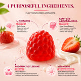 AirVigor Cortisol Gummies packaging details