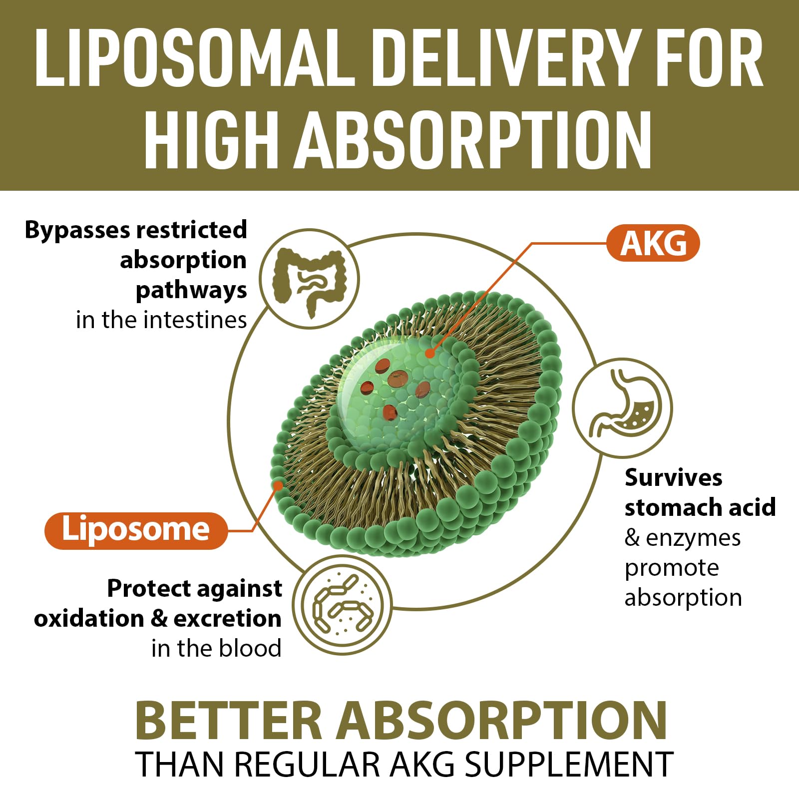 AJAXERRUE Calcium AKG Liposomal Capsules 1500mg capsules close-up