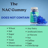 Alafia Naturals NAC Gummies back view with ingredients list