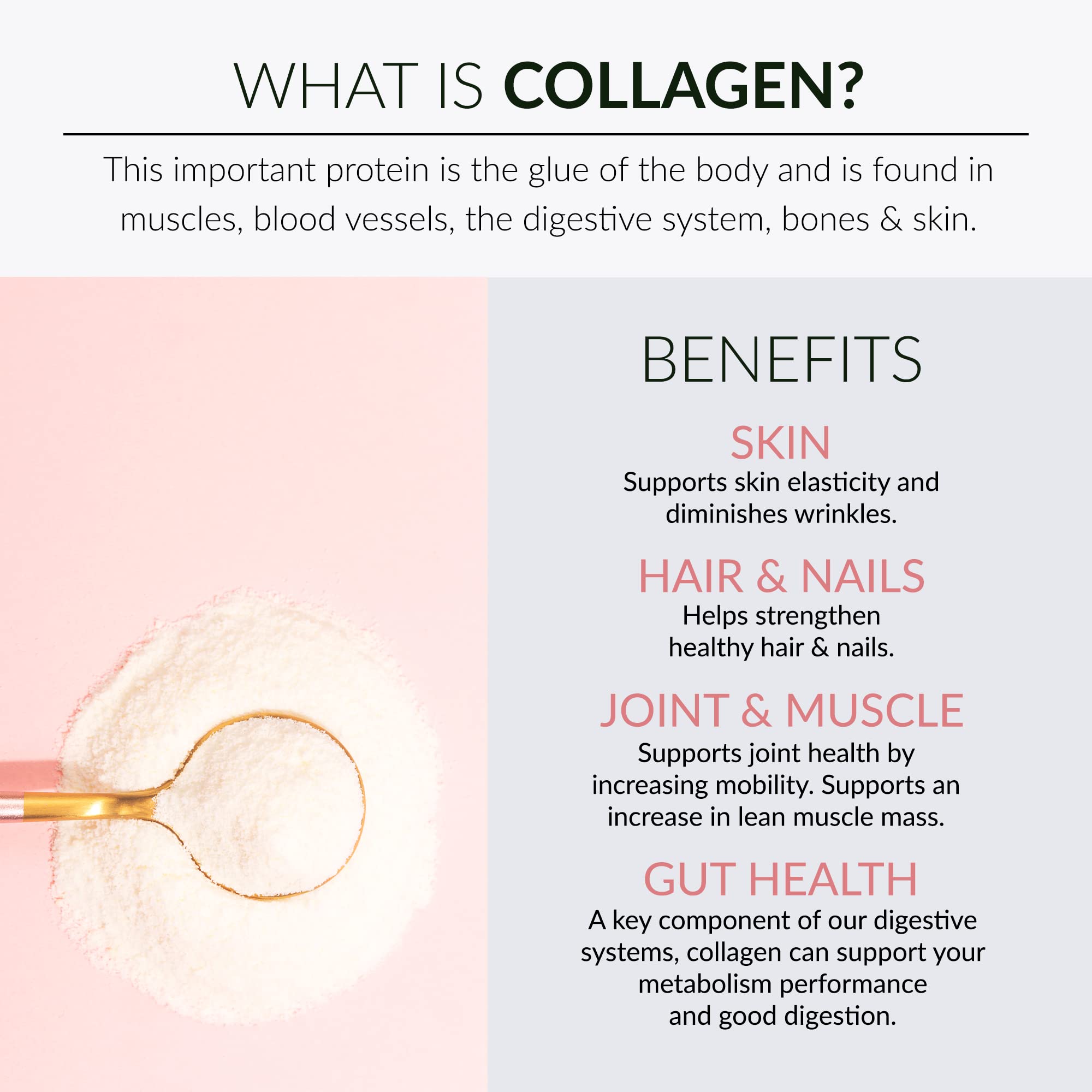 Alaya Naturals Collagen Peptides Powder 419g in a baking setting