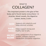 Alaya Naturals Multi Collagen Peptides Powder in a glass of water