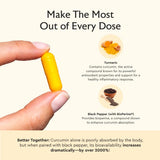 Alaya Naturals Turmeric Supplement ingredients list