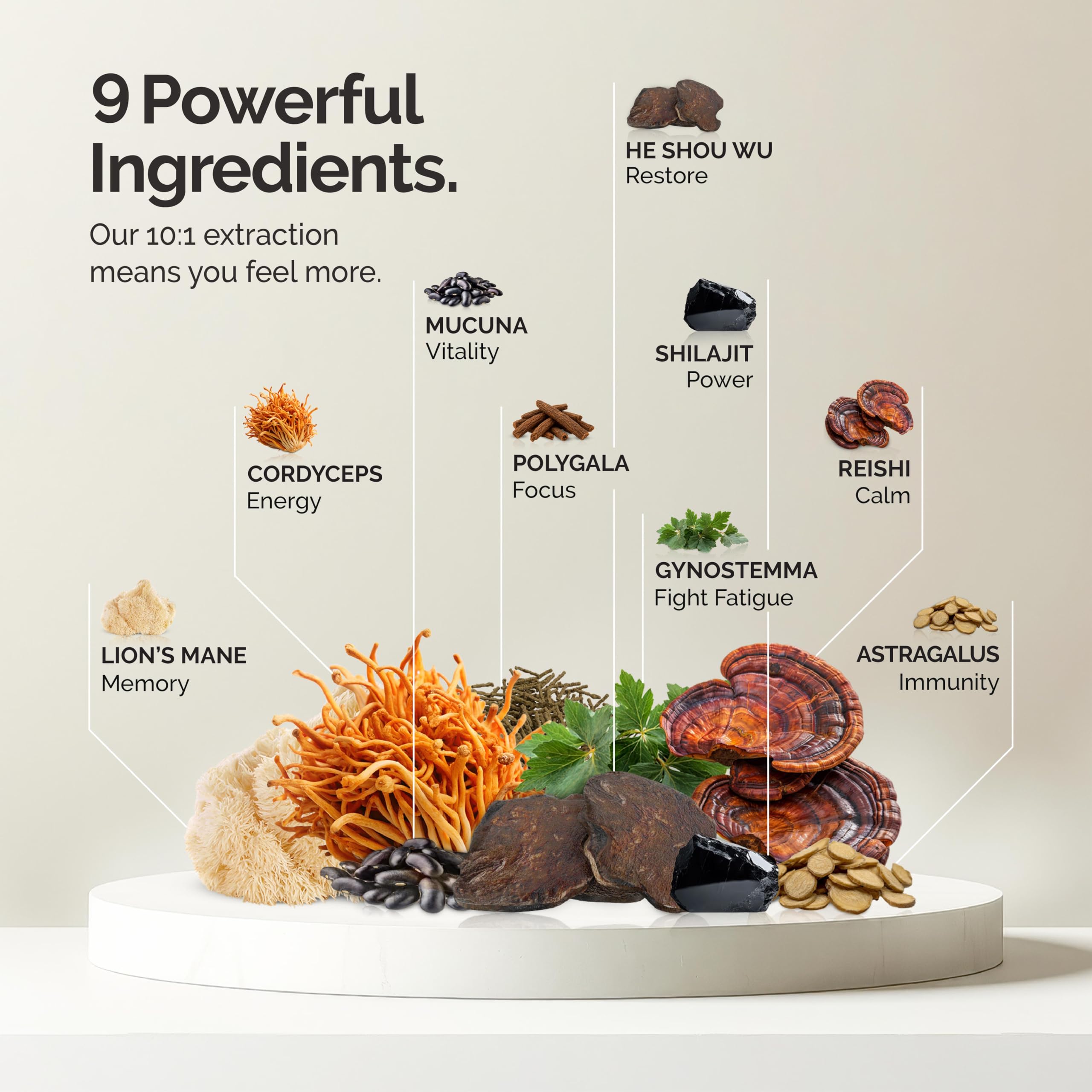 alcami elements Mushroom Coffee support with a spoonful of powder