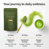 alcami elements Mushroom Matcha 10:1 Concentrated Blend in a cup