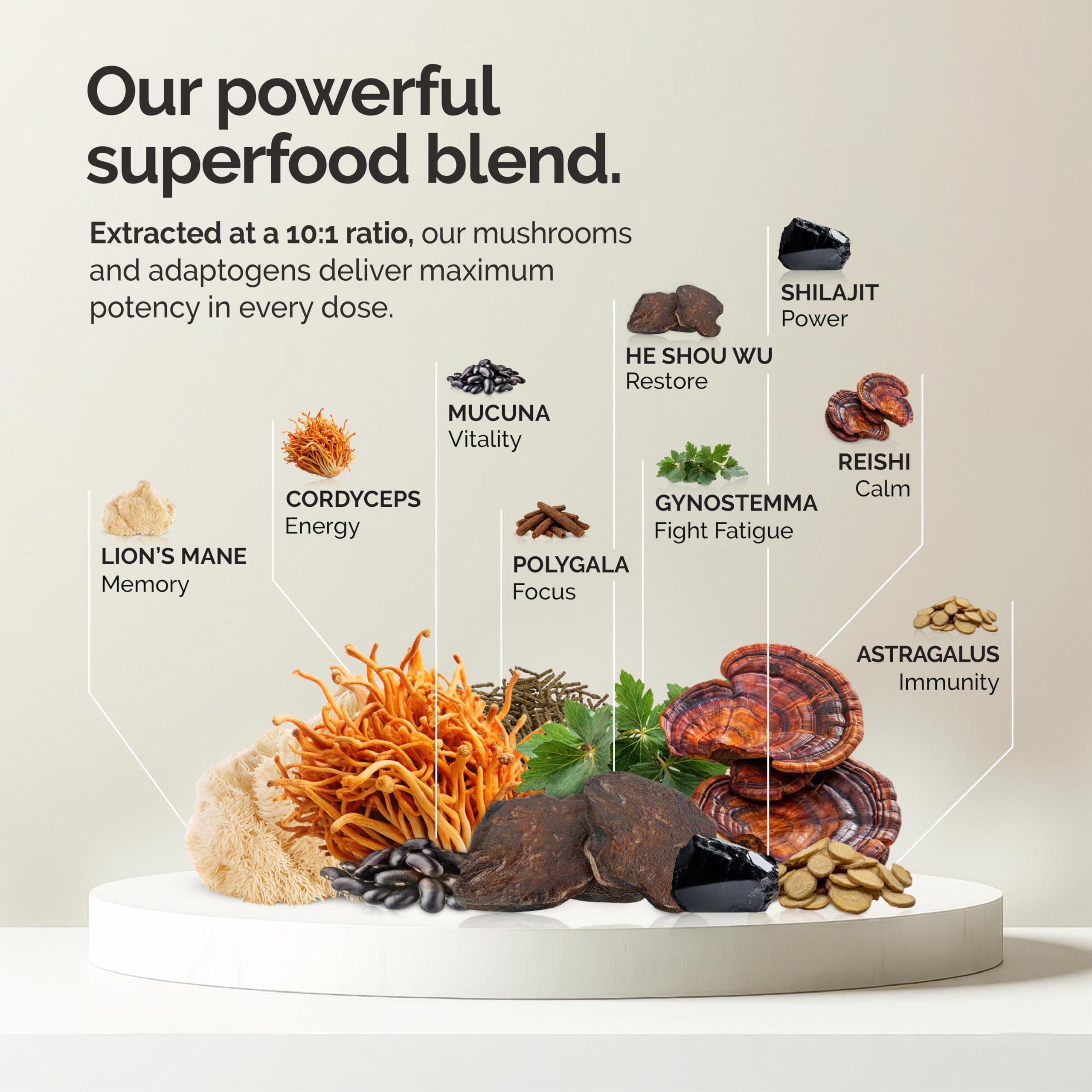 alcami elements Mushroom Matcha 10:1 Concentrated Blend ingredients list