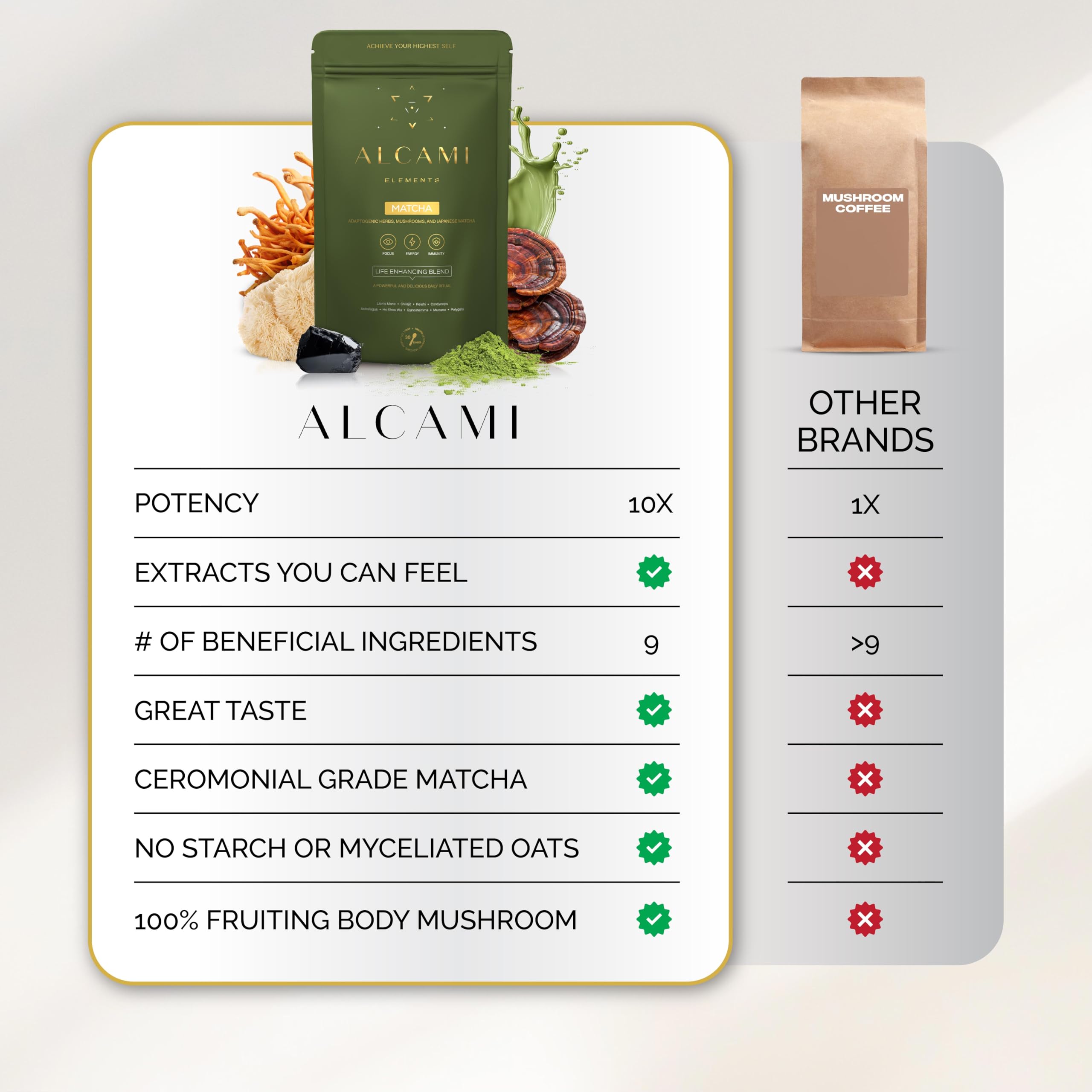 alcami elements Mushroom Matcha 10:1 Concentrated Blend lifestyle scene