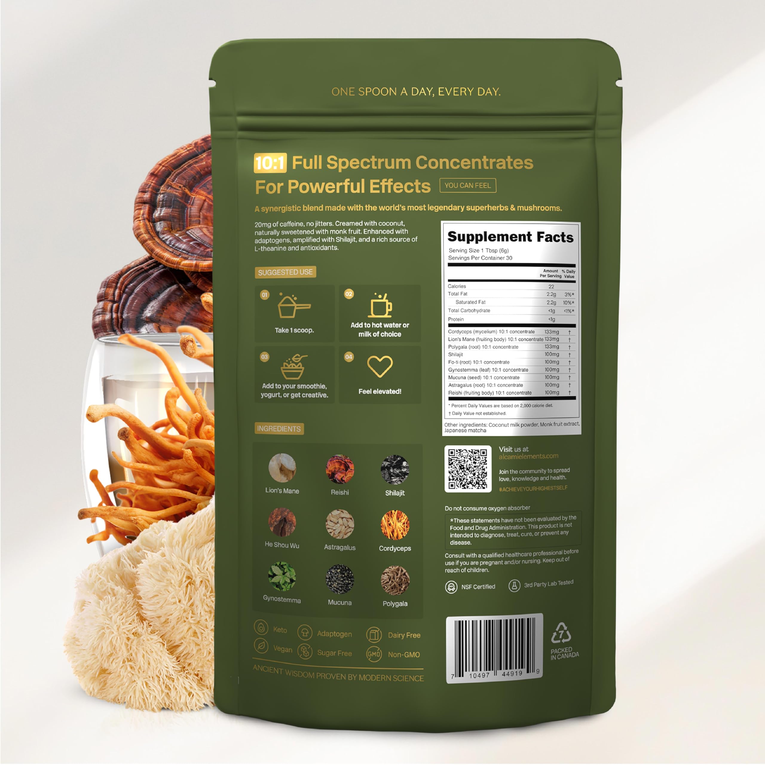 alcami elements Mushroom Matcha 10:1 Concentrated Blend nutritional information