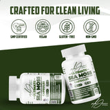 Alex Jones Naturals Sea Moss Capsules with a measuring spoon