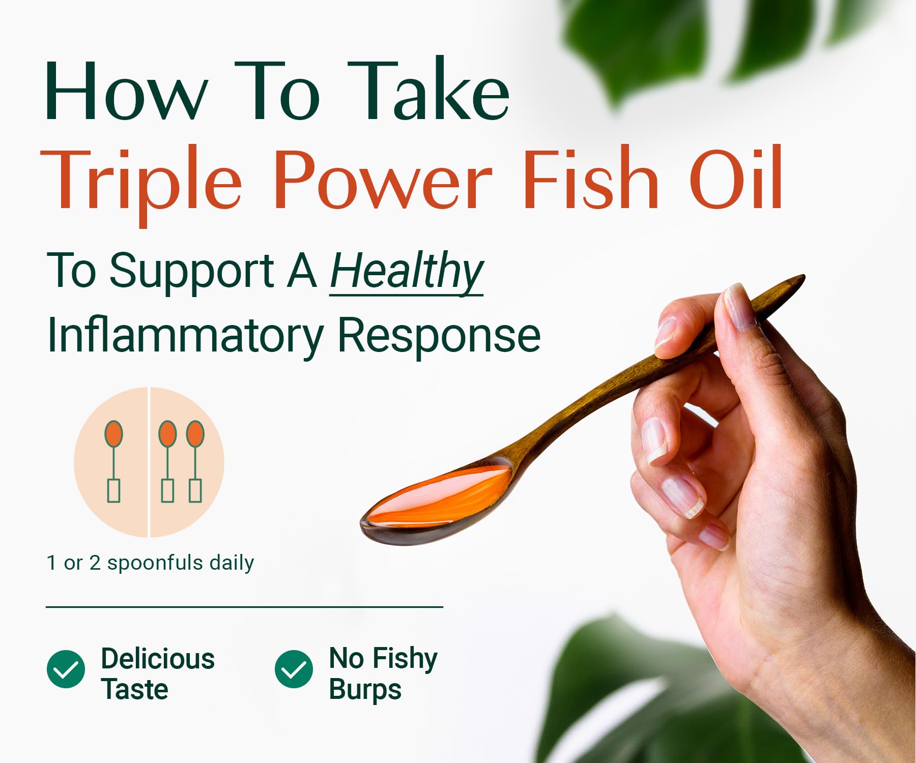 ALGAECAL Omega-3 Fish Oil Supplement 454g with mango flavour