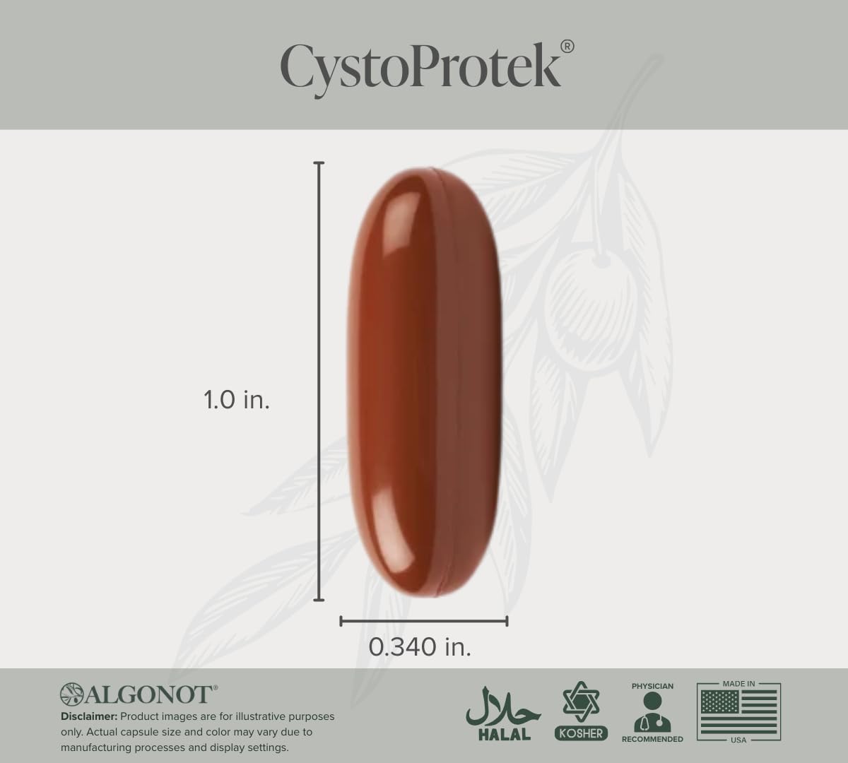 Algonot CystoProtek Bladder Support Supplement bottle with softgels