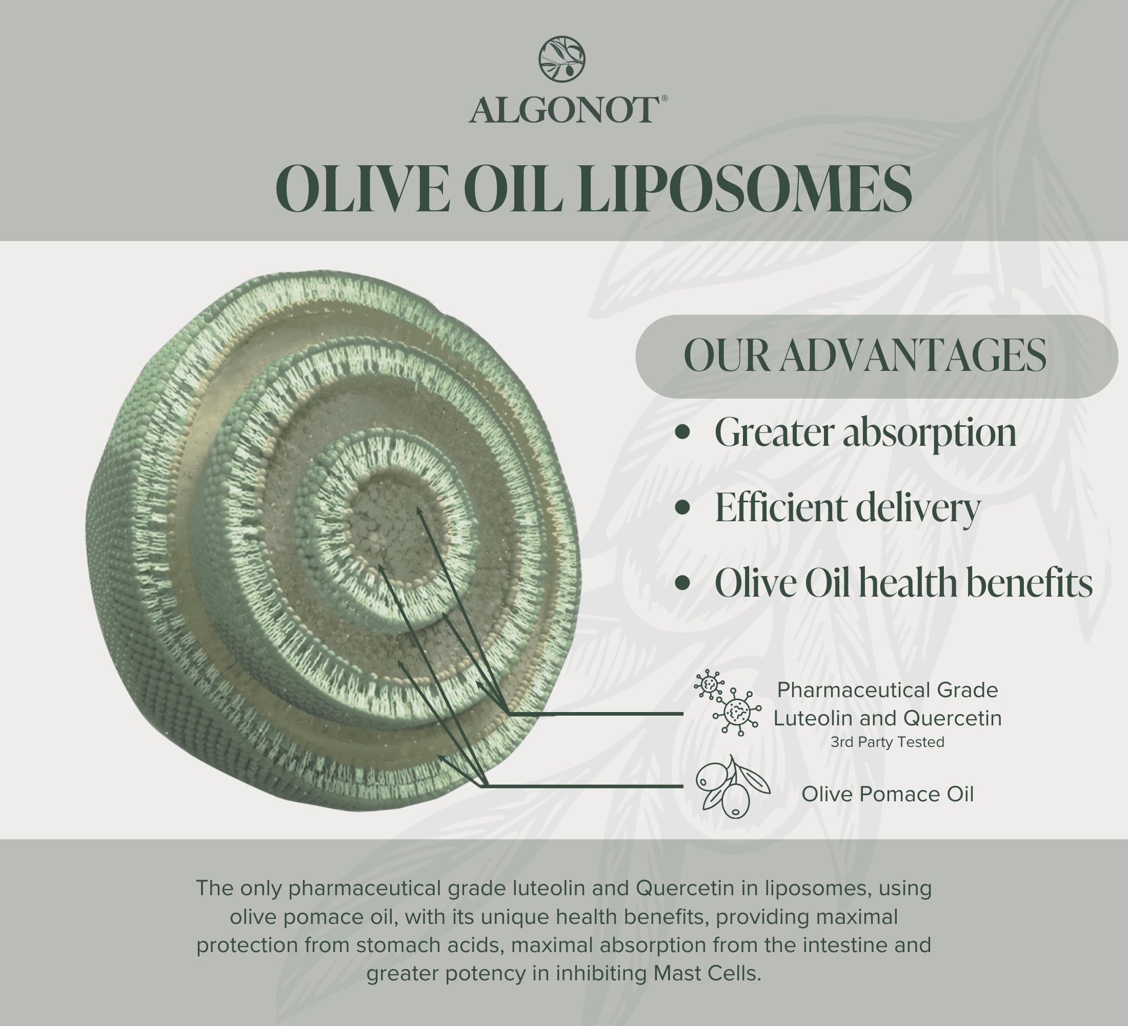 Algonot FibroProtek CoQ10 softgel capsules on a table