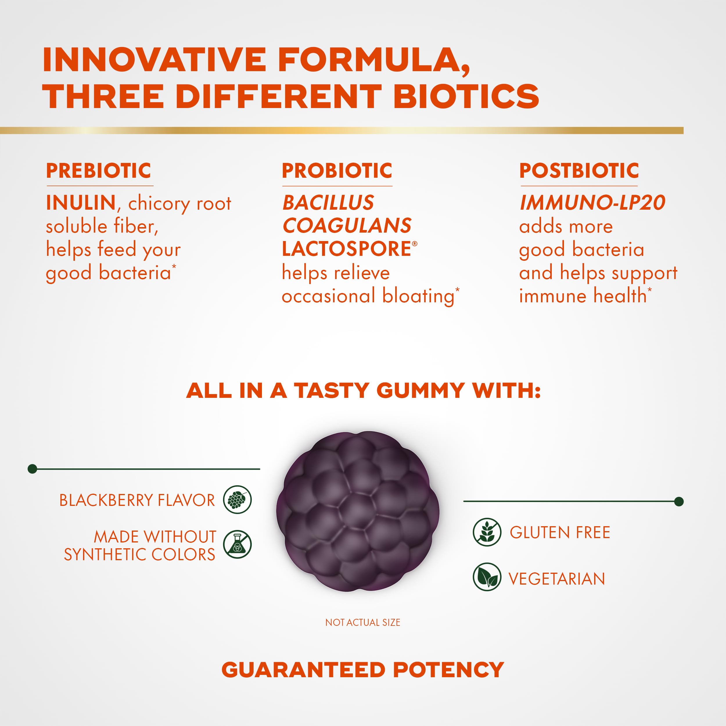 Align Probiotic 3-in-1 Biotic Gummies 170g blackberry flavour close-up