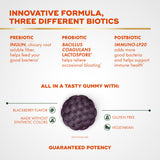 Align Probiotic 3-in-1 Biotic Gummies 170g blackberry flavour close-up