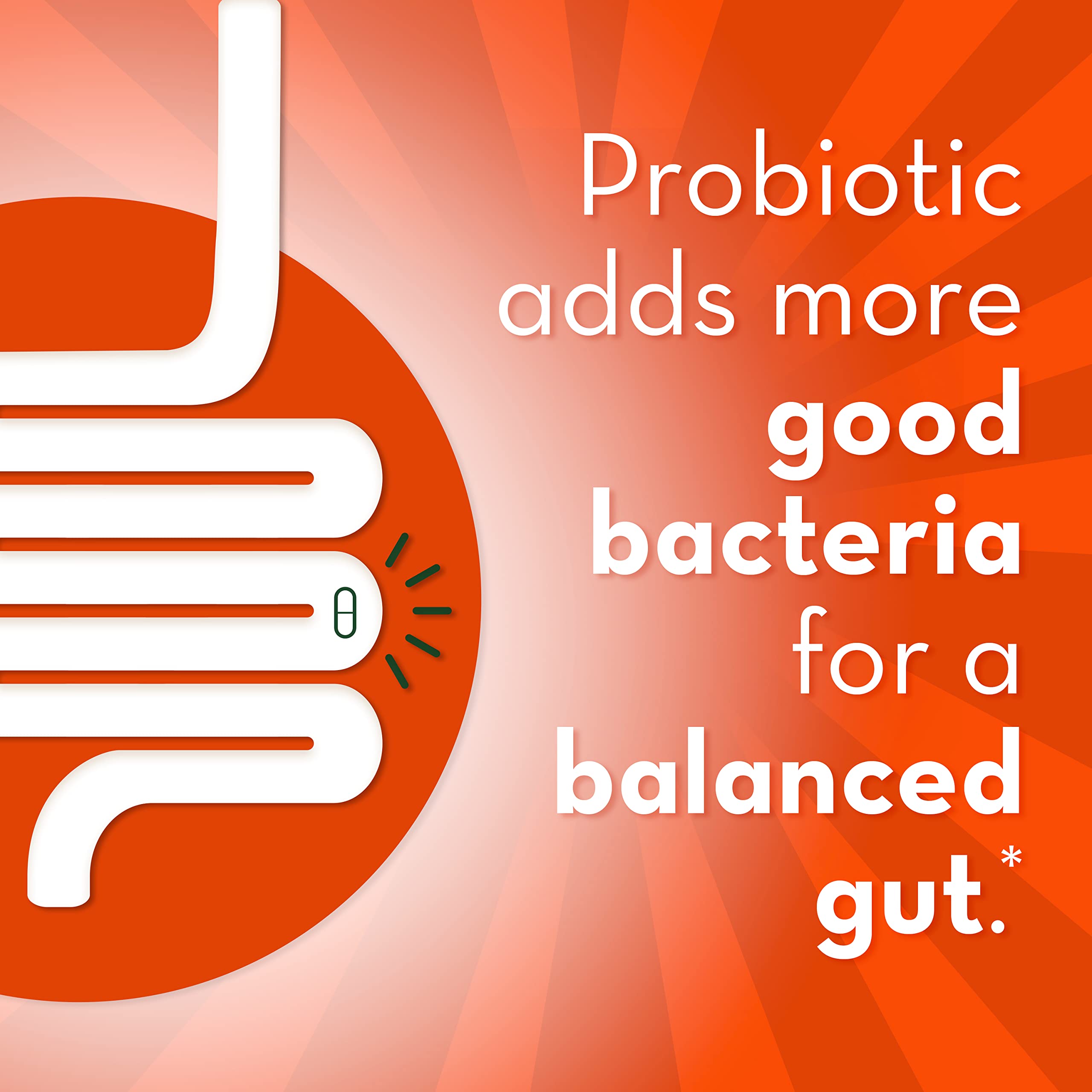 Align Probiotic Supplement ingredients list
