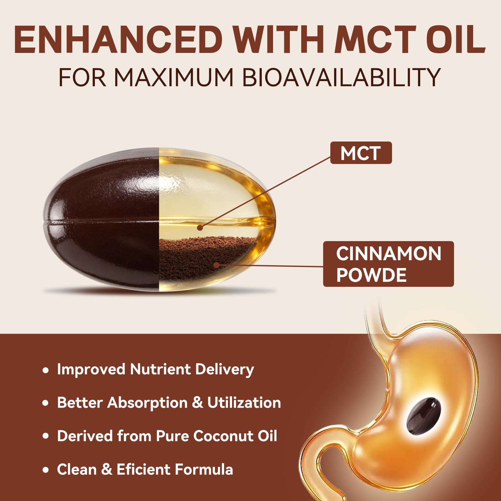 ALLBIZ Ceylon Cinnamon Softgels back view with ingredients