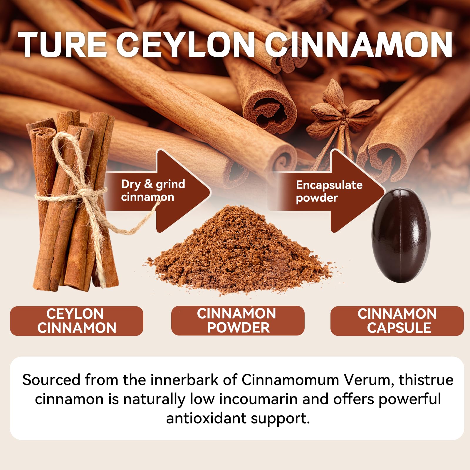 ALLBIZ Ceylon Cinnamon Softgels close-up of softgel