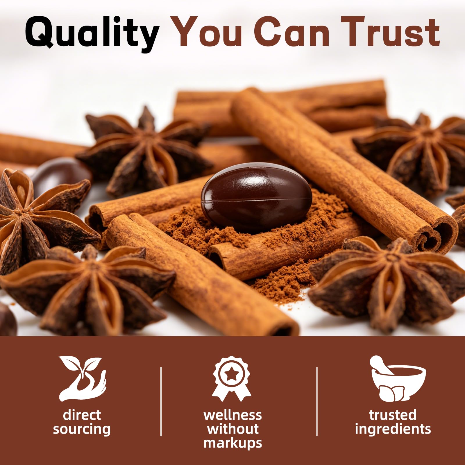 ALLBIZ Ceylon Cinnamon Softgels softgel format in hand