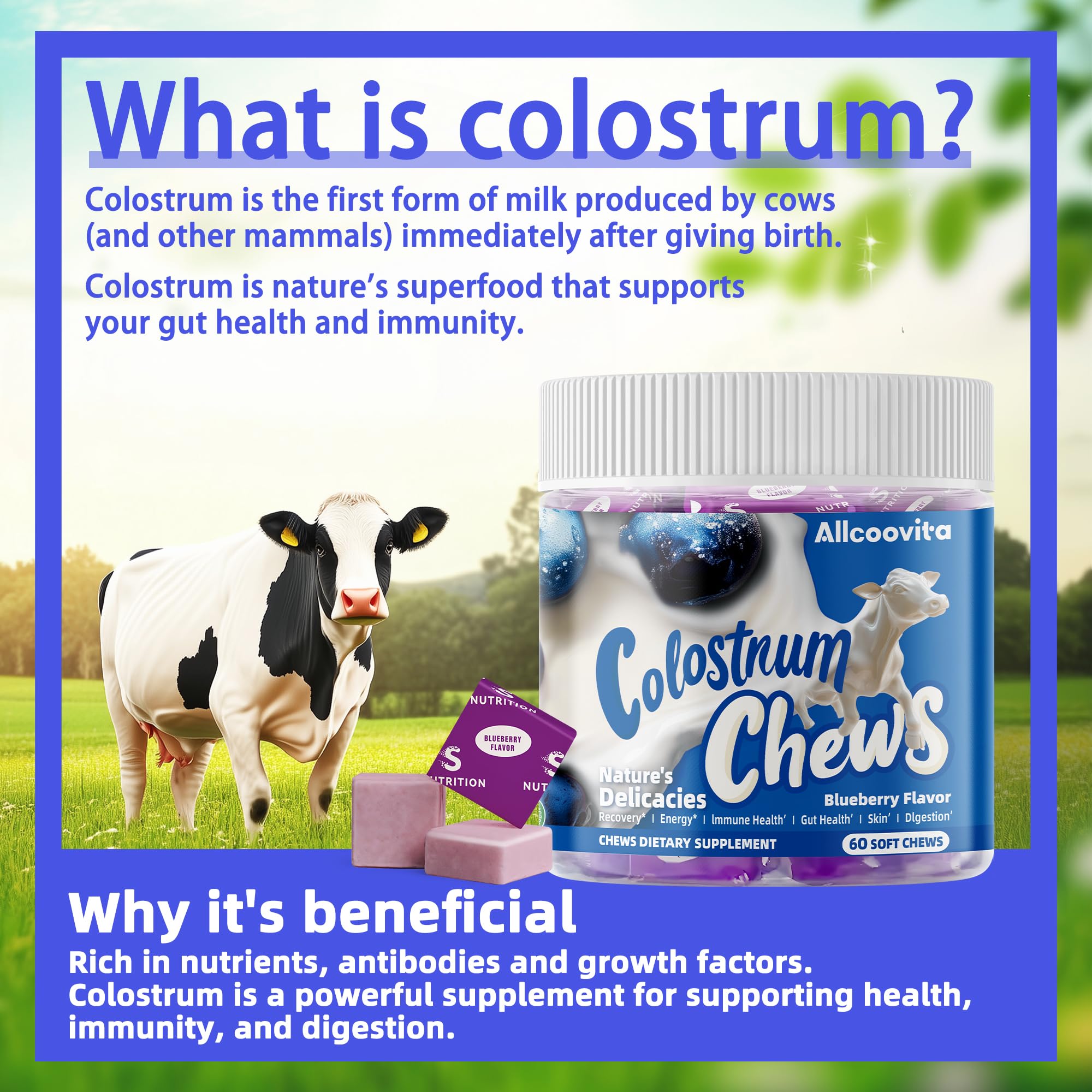 Allcoovita Colostrum Chews Blueberry flavour side view