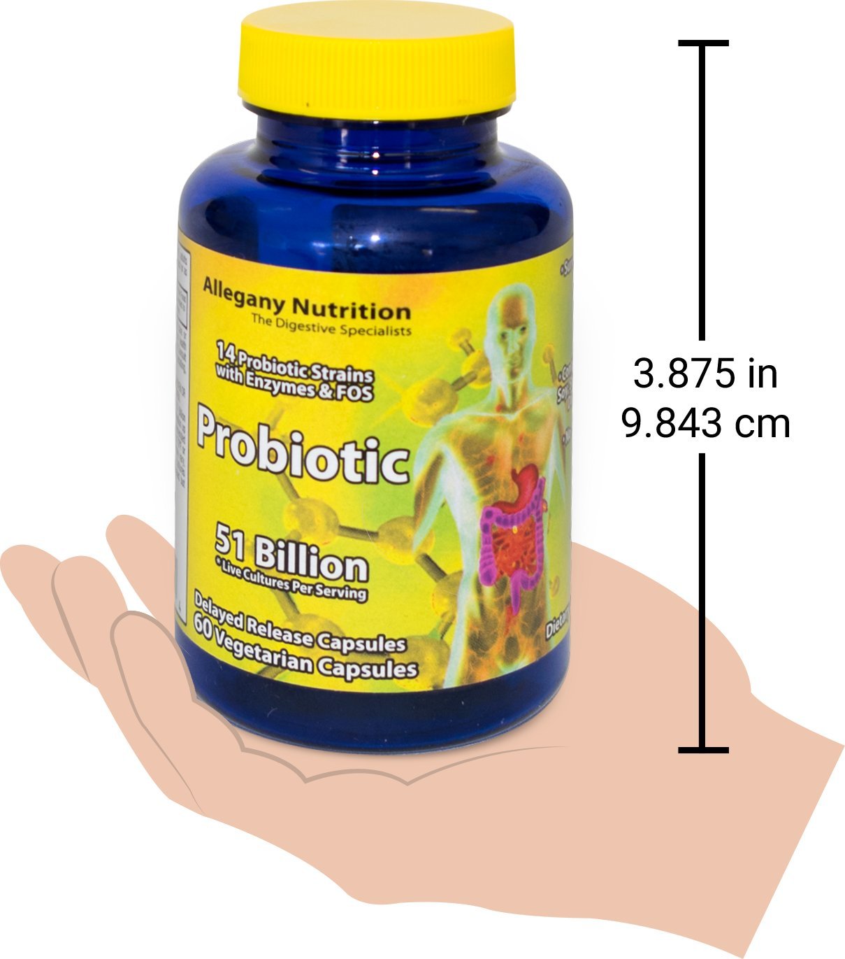 Allegany Nutrition Probiotic Supplement in a lifestyle setting