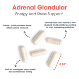 Allergy Research Group Adrenal Cortex Extract ingredients list
