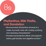 Allergy Research Group Milk Thistle Capsules 200mg with measuring spoon