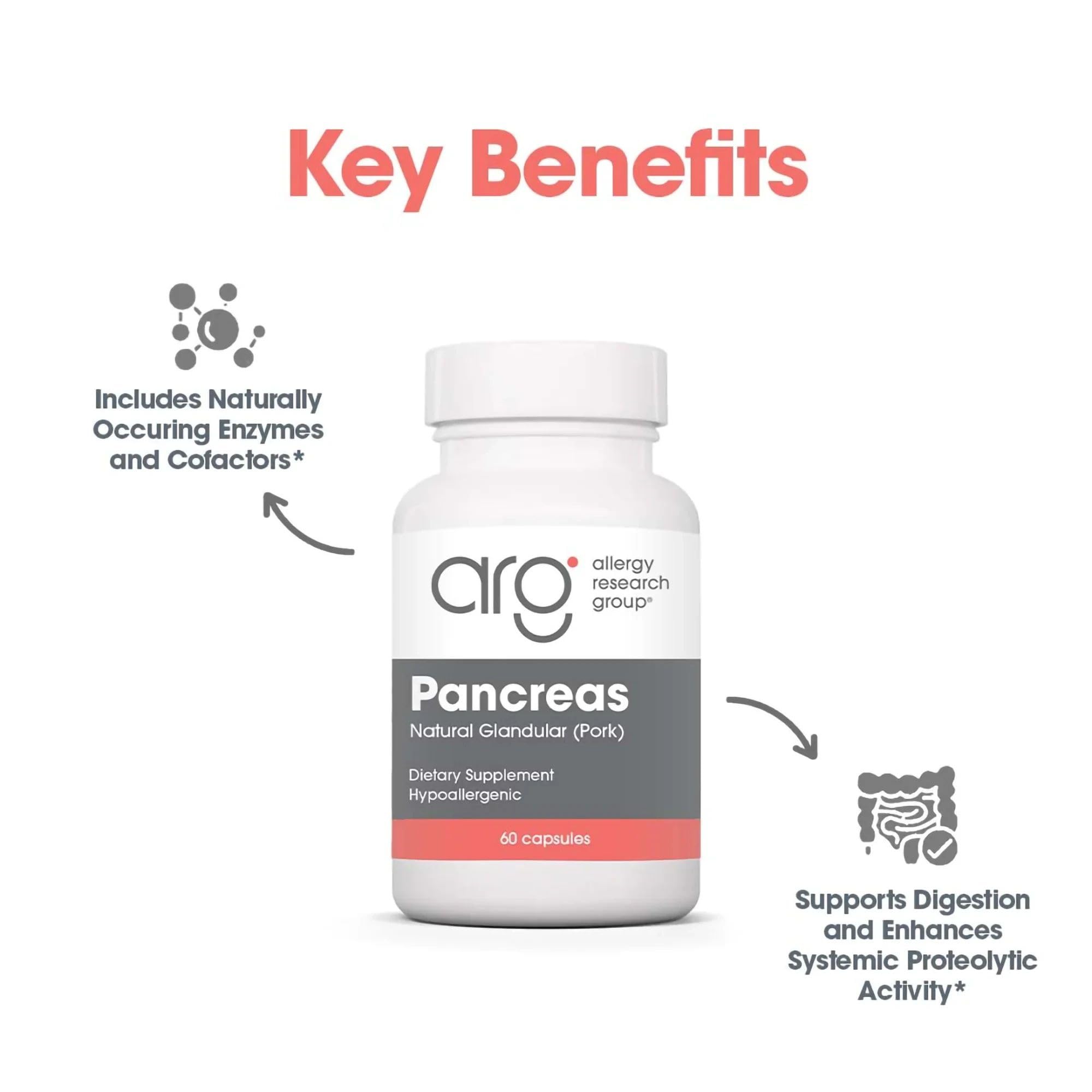 Allergy Research Group Pancreas Pork Multi-Enzyme Supplement capsule close-up