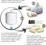 ALLIMAX Garlic Supplement lifestyle scene