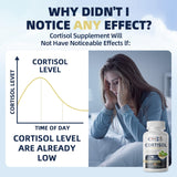 Alliwise Cortisol Balance Supplement lifestyle shot with a notebook